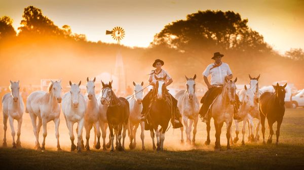 Festival Gaucho, San Antonio de Areco, Province de Buenos Aires, Argentine
