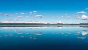 ｢プカキ湖｣ニュージーランド南島 (© Martin Heck/Nimia)(Bing Japan)