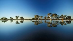 西澳大利亚沃尔埃恩站的水潭 (© Davide Scagliola/Aurora Photos)(Bing China)