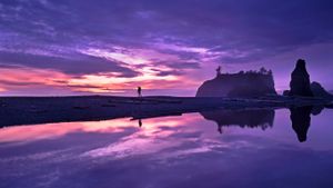 奥林匹克国家公园的红宝石海滩， 美国华盛顿州 (© Jason Savage/Tandem Stills + Motion)(Bing China)