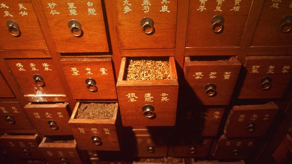 满是中药的药柜