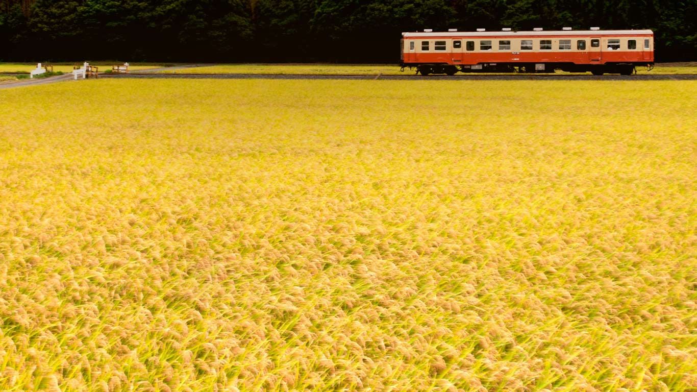 ｢ひたちなか海浜鉄道湊線｣茨城, ひたちなか市