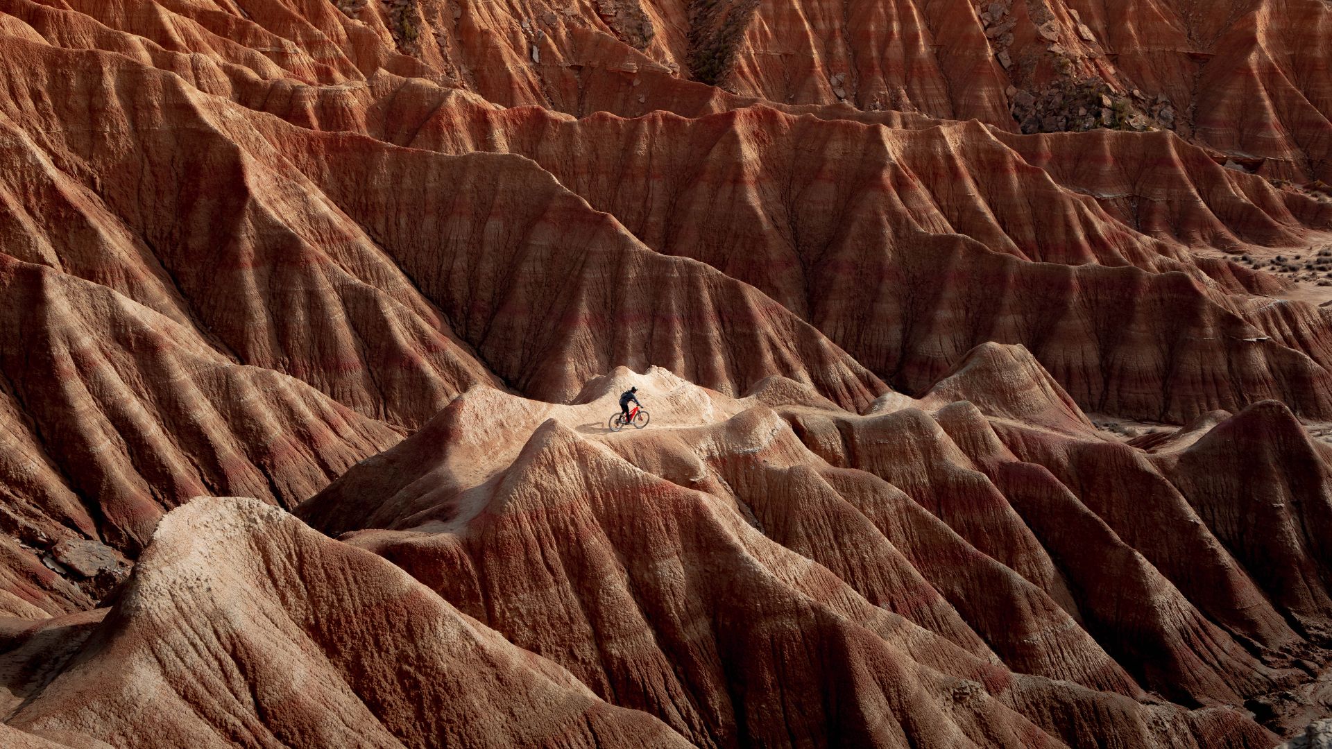 Cyclist in Bardenas Reales Natural Park and Biosphere Reserve, Navarra, Spain