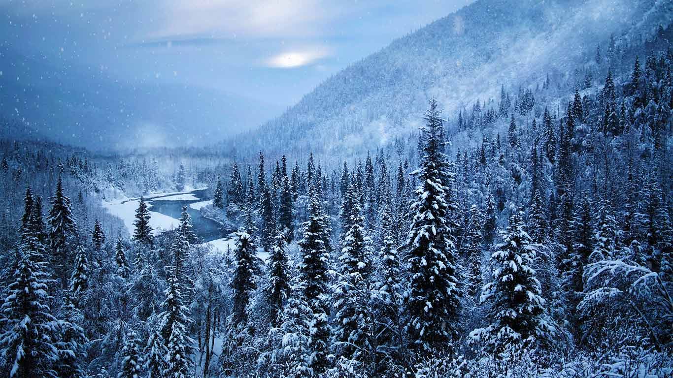 Kenai Peninsula, Alaska, USA