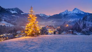 Weihnachtsbaum bei Berchtesgaden mit dem Watzmann im Hintergrund, Bayern (© Günter Gräfenhain/eStock Photo)(Bing Deutschland)