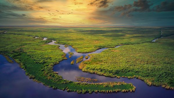 Vue aérienne du parc national des Everglades, Floride, États-Unis