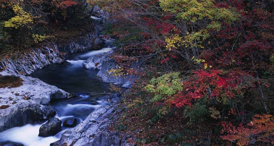 ｢中津川渓谷の紅葉｣福島, 裏磐梯