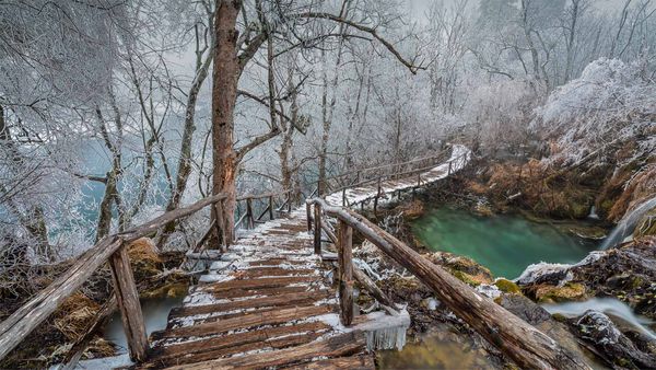 Elevated path in Plitvice Lakes National Park, Croatia