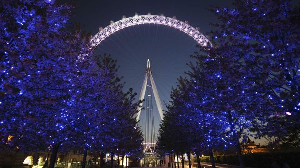 The London Eye at night behind illuminated trees