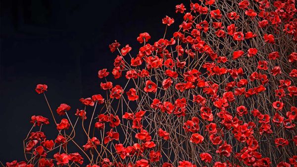 Part of Blood Swept Lands and Seas of Red, an art installation at the Imperial War Museum North in Manchester