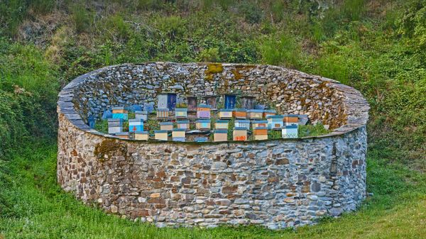 Beehives in the Muniellos Nature Reserve in the province of Asturias, Spain