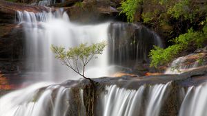 Wenthworth Falls in the Blue Mountains, New South Wales (© Stonemeadow Photography/Alamy)(Bing Australia)