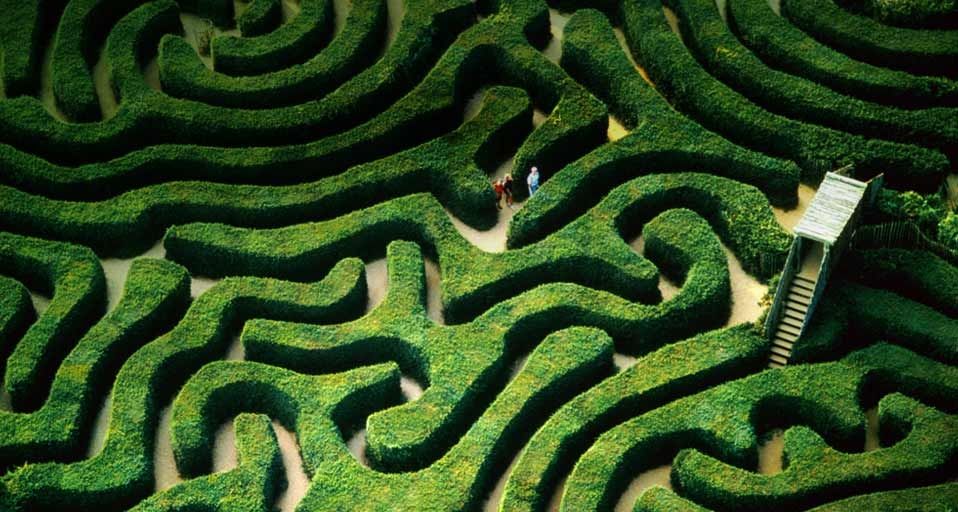 Hedge maze at Longleat House near the town of Warminster, Wiltshire, UK