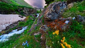 位于科罗拉多南部圣胡安山脉的美国盆地 (© Blaine Harrington III/Alamy)(Bing China)
