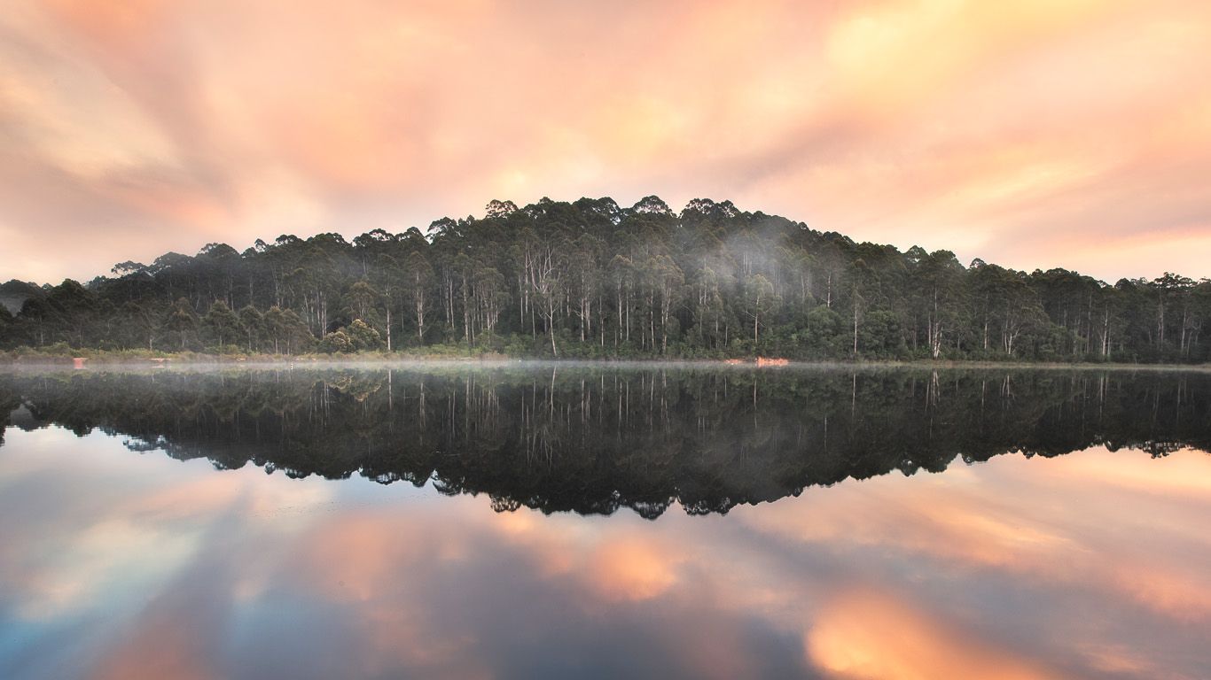 Karri forest at Beedelup Lake in Pemberton, Western Australia