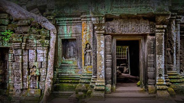 Ta Prohm temple at Angkor, Cambodia