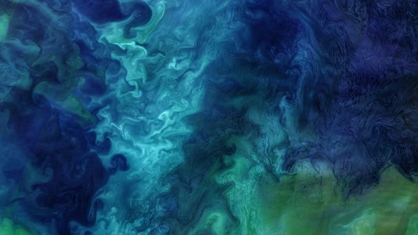 Blooms of phytoplankton in the Chukchi Sea off the coast of Alaska, USA