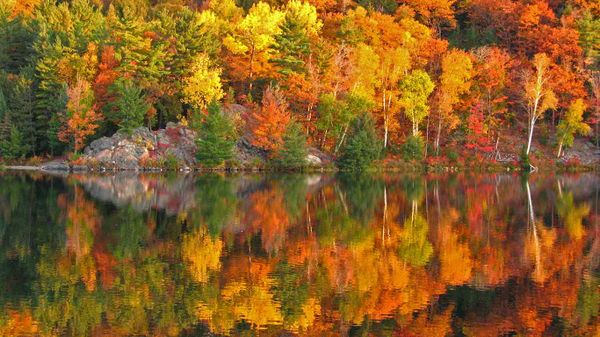 Autumn at George Lake, Ontario, Canada