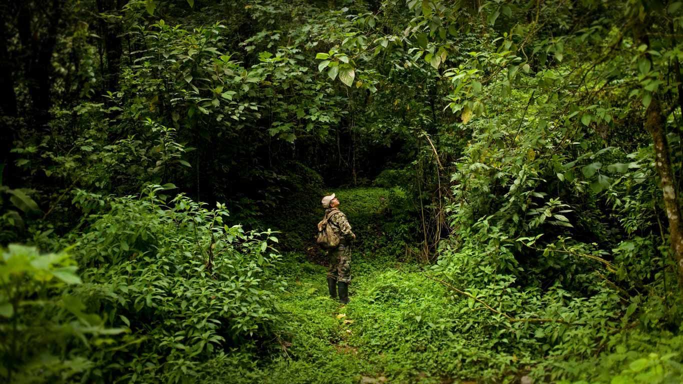 Park ranger Ismael Galvez in El Triunfo Biosphere Reserve in Mexico for World Ranger Day