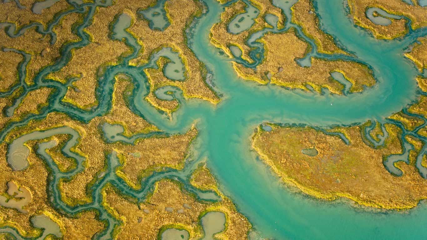 Aerial view of salt marsh at Abbotts Hall Farm, Essex