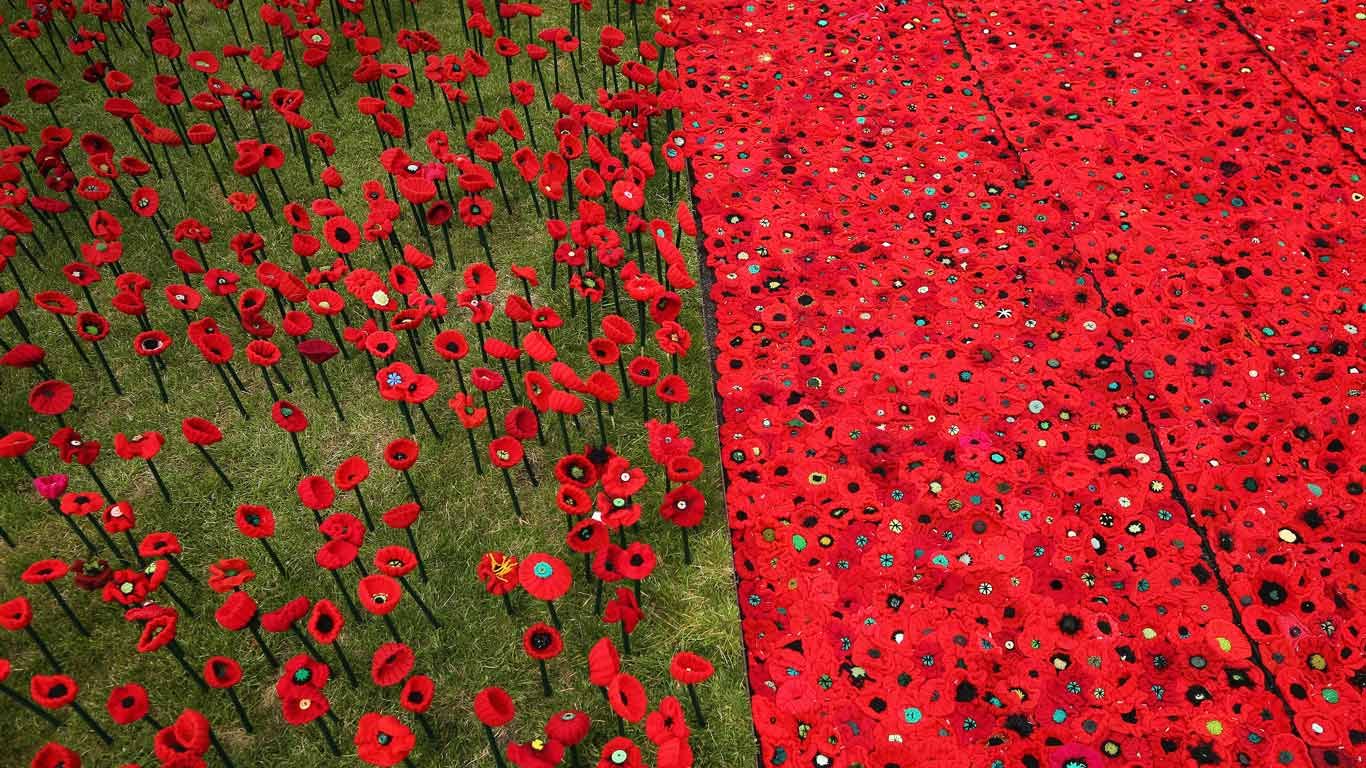 A field of knitted poppies at the RHS Chelsea Flower Show in 2016