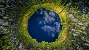 Small lake in Karula National Park, Valgamaa County, Estonia (© Sven Zacek/Minden Pictures)(Bing United States)