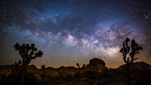 Vía Láctea sobre el Parque Nacional de Árboles de Josué, California, EE.UU. (© Schroptschop/Getty Images)(Bing España)