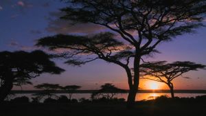 肯尼亚安波塞利国家公园的安波塞利湖 (© Alamy)(Bing China)