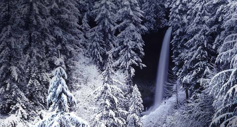 美国南银州立瀑布公园中幽静的小路