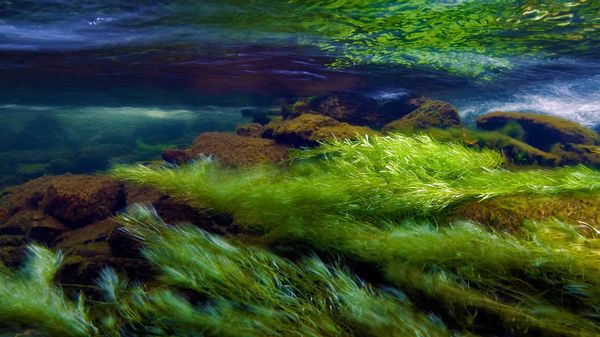 Afon Ogwen, a river in Snowdonia National Park, Wales