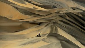 Gemsbok (Oryx gazella) in sand dunes, Namibia (© Sergey Gorshkov/Minden)(Bing Australia)