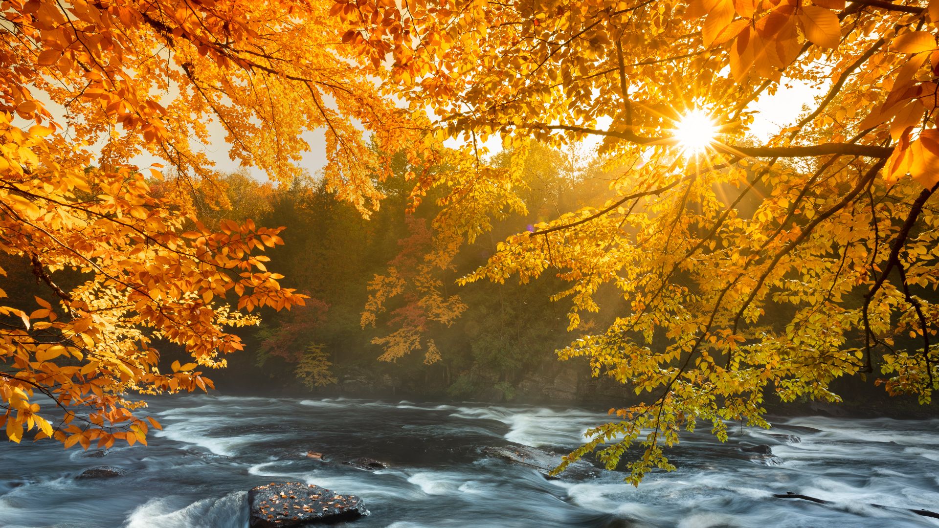 River rapids in Algonquin Provincial Park, Ontario