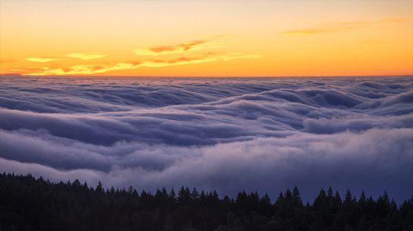 Fog over Mount Tamalpais State Park, California