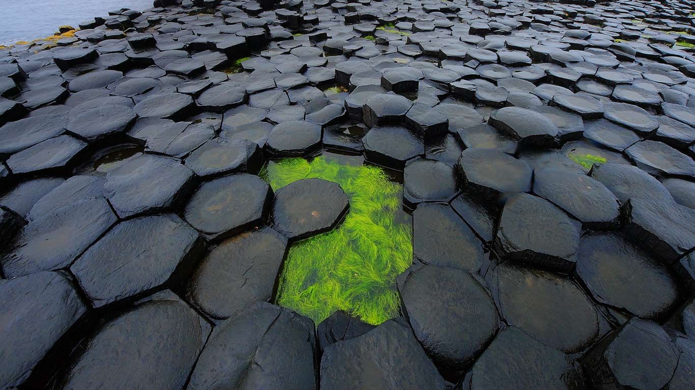 Giant's Causeway, County Antrim, Northern Ireland, United Kingdom