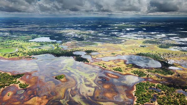 Flood plains in the Pantanal, Brazil