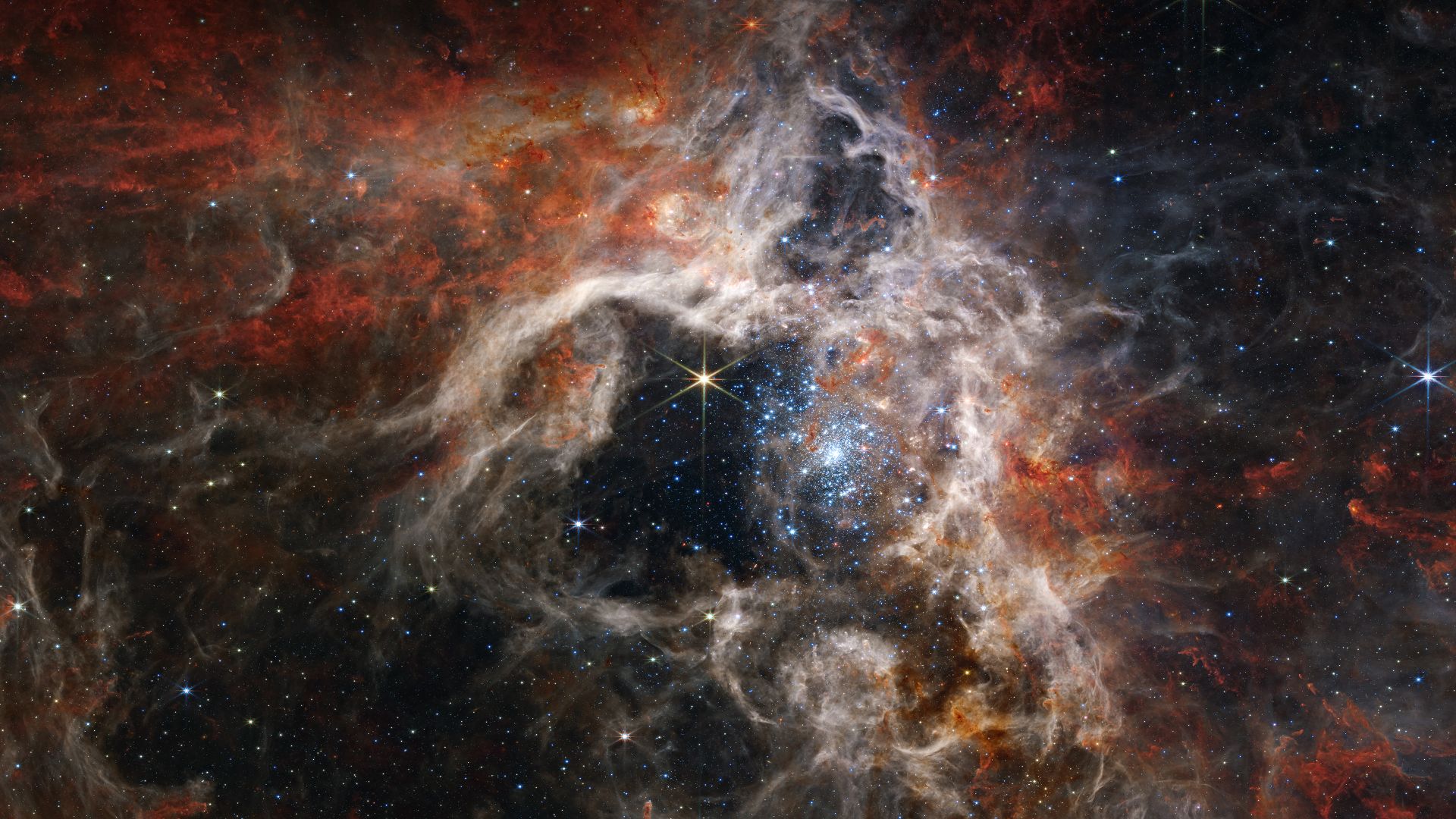 Giovani stelle in formazione nella Nebulosa Tarantola, Telescopio Spaziale James Webb