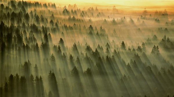 Gifford Pinchot National Forest, Washington