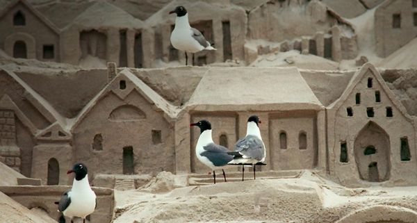 Black-headed seagulls populate an elaborately carved sand sculpture on a beach at Ocean City, Maryland