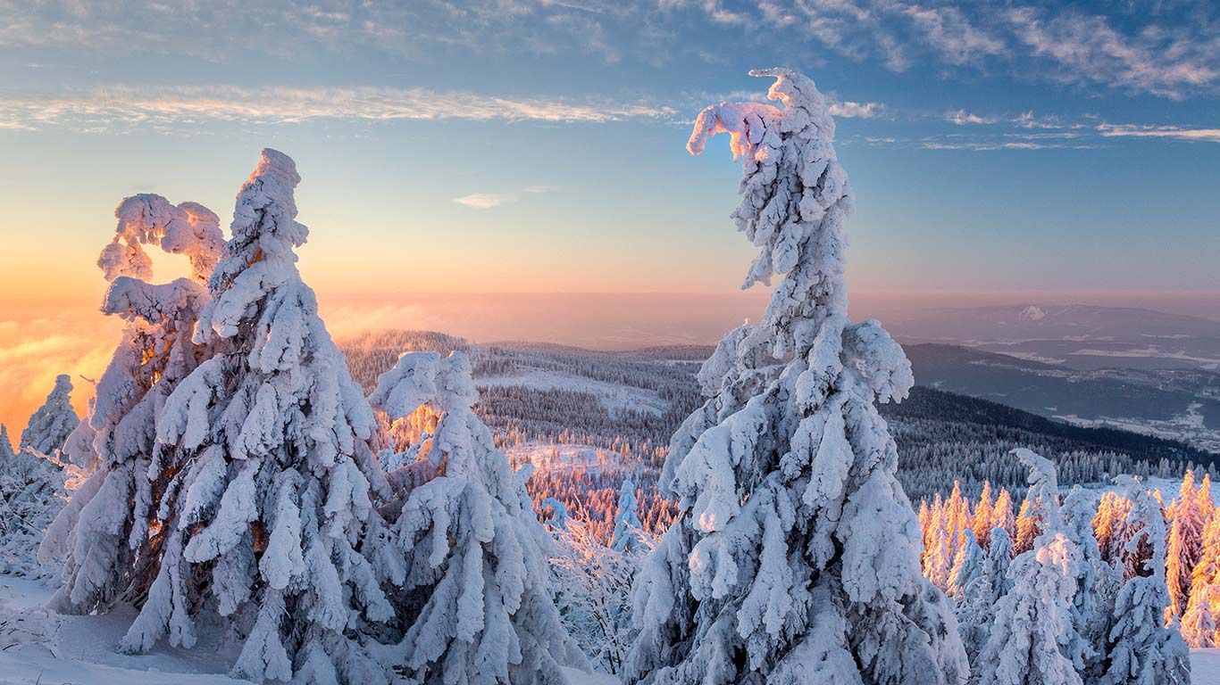 Wintermorgen am Großen Arber, Bayern, Deutschland