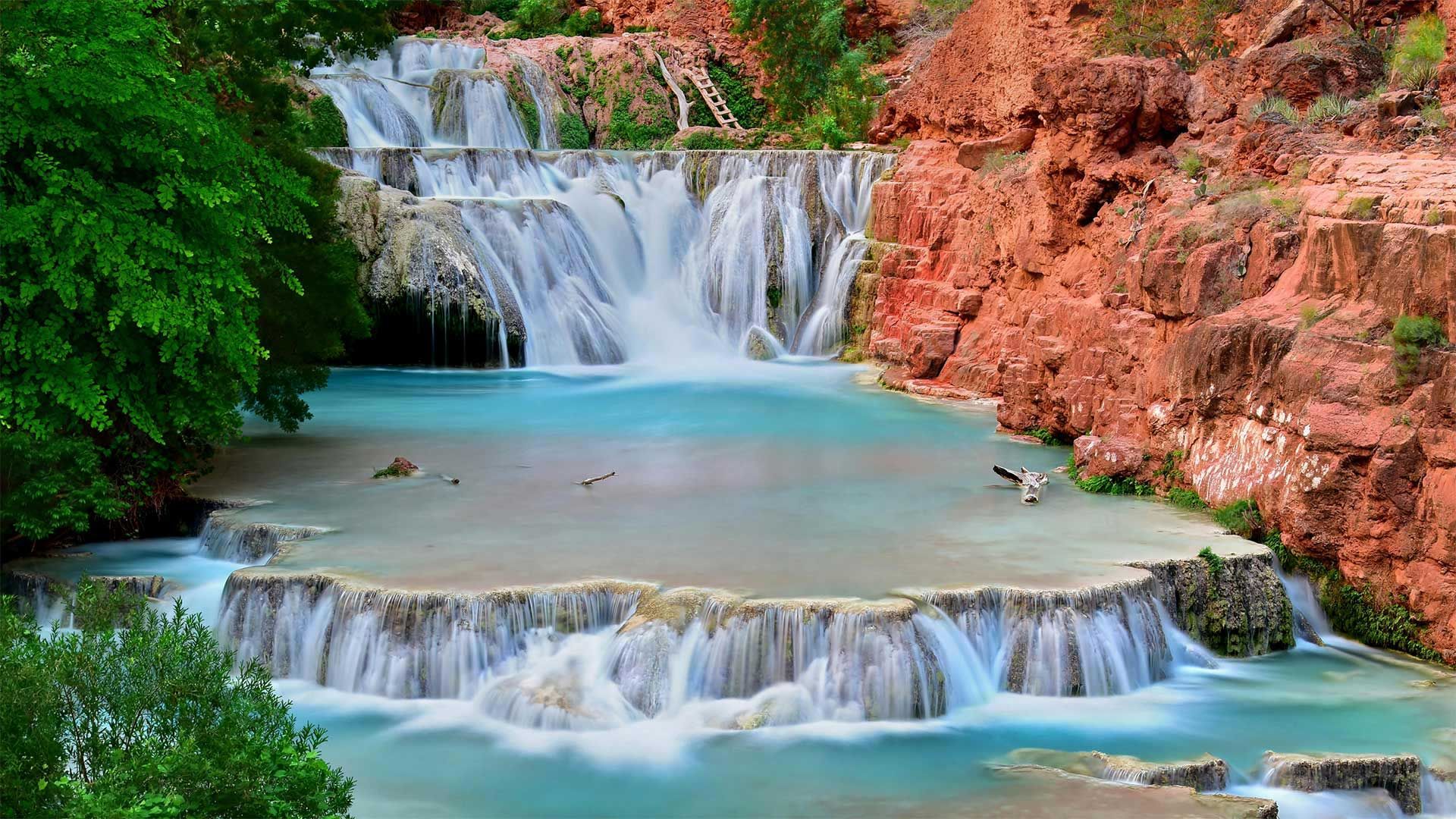 Les chutes de Beaver Falls à Havasu Creek, Grand Canyon, États-Unis