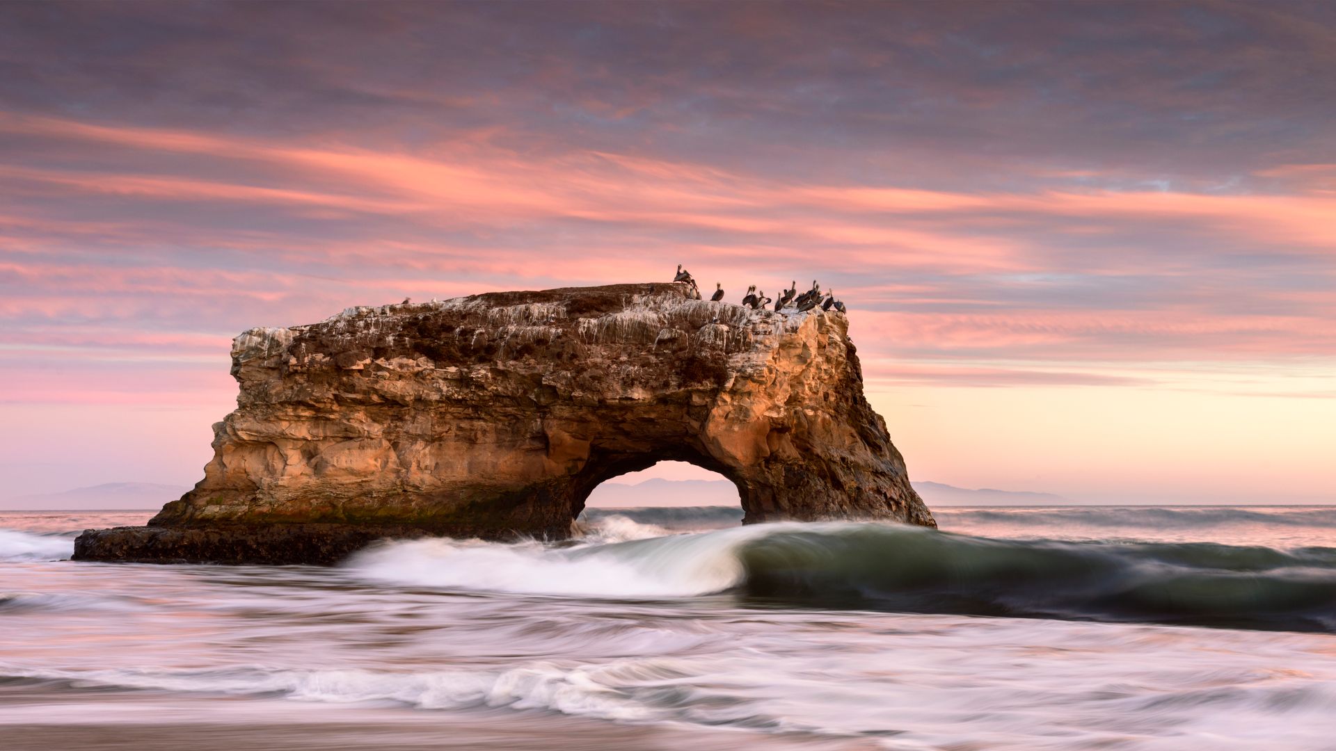 Natural Bridges State Beach in Santa Cruz, California