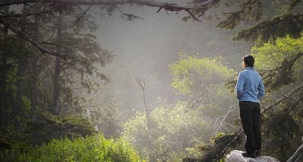 一起爱环保：植树造林防治沙漠化