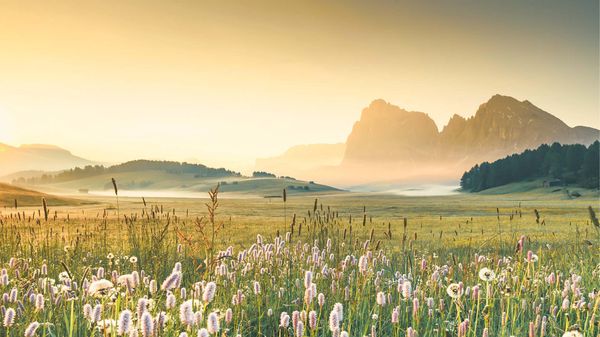 Alpe di Siusi, Dolomiti, Italia
