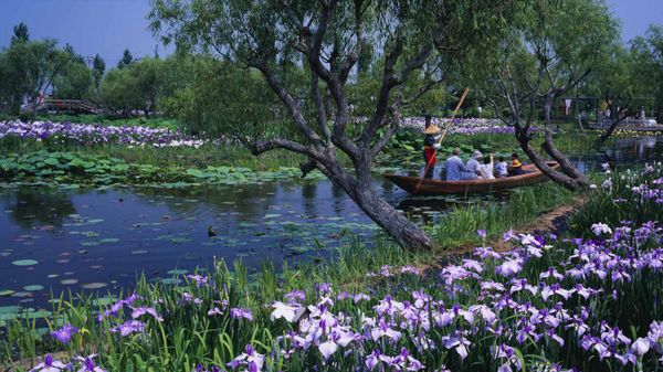 ｢水郷佐原水生植物園｣千葉, 香取市