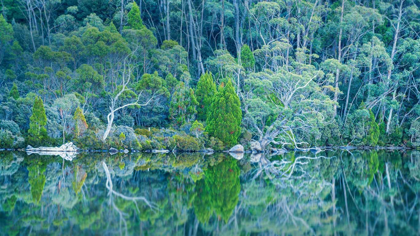 Lake Dobson in Mount Field National Park of Tasmania, Australia