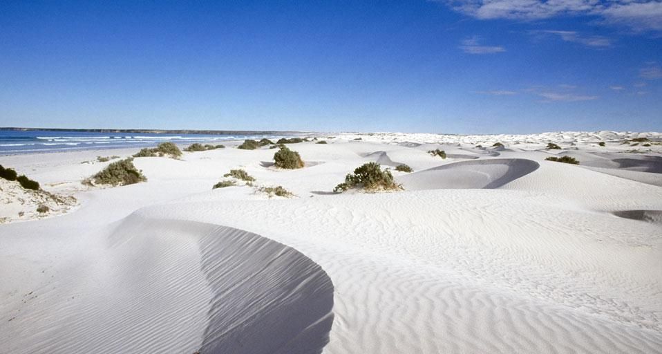 Coombra sand dunes, Head of Bight, Eyre Peninsula, Australia