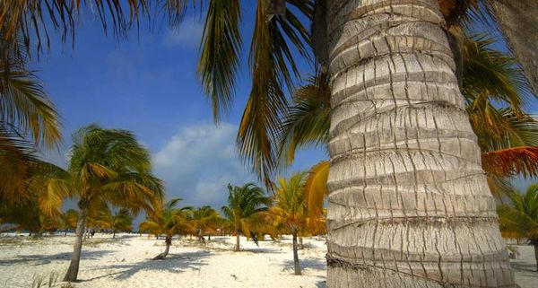 Cayo Largo del Sur, Cuba