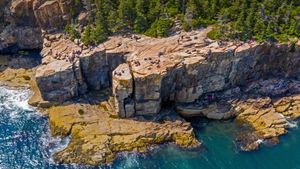 Otter Cliffs, Acadia National Park, Maine (© dbimages/Alamy)(Bing United States)
