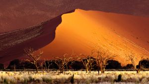 Sand dune, Sossusvlei, Namibia (© Erik Joosten/Minden Pictures)(Bing United States)