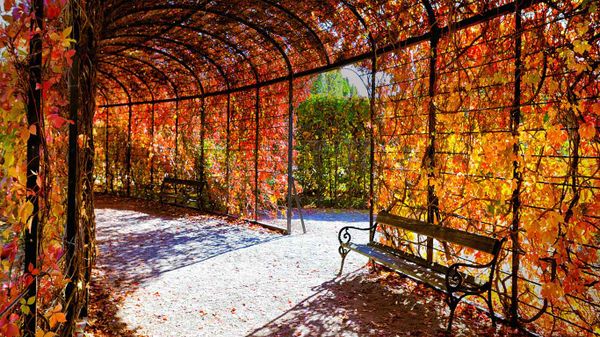 Autumn foliage, Schoenbrunn Palace, Vienna, Austria